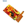 7 inch ips display