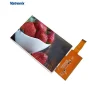 7 inch ips display
