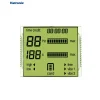 monochrome LCD screen display